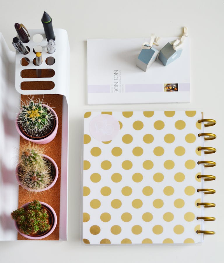 Modern desk layout featuring a polka dot planner, pens, and decorative cacti in pots.