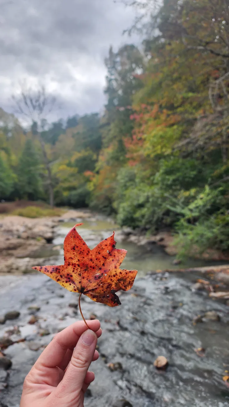 Designing Your Dream Life Part 9: Living It Out – Staying Aligned & Flexible