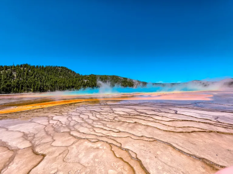 Yellowstone & Grand Teton National Parks: Our 3-Day Wildlife Adventure (Part 2)