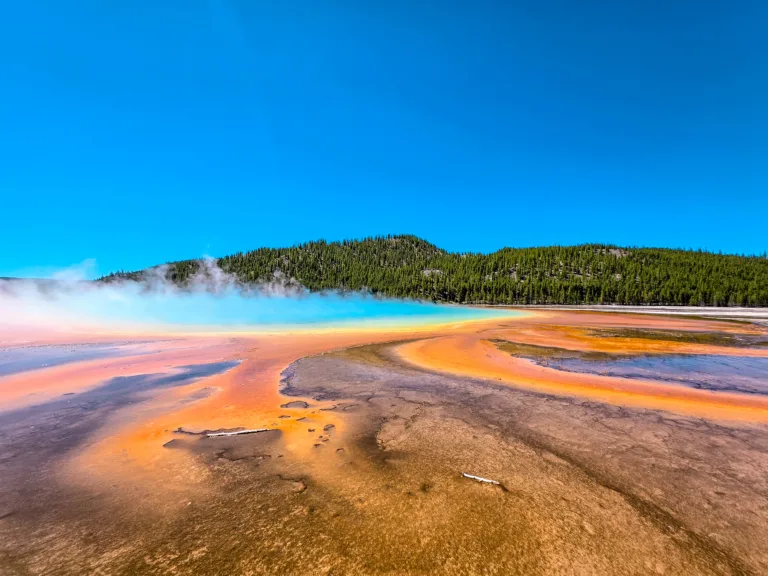 Yellowstone & Grand Teton National Parks: Our 3-Day Wildlife Adventure (Part 1)
